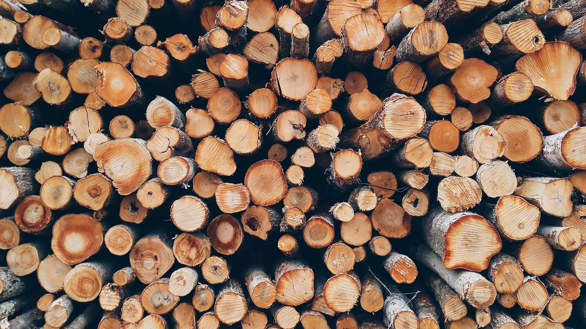 Garderobe aus Holz_Holzstapel Garderobe aus Holz_Holzstapel